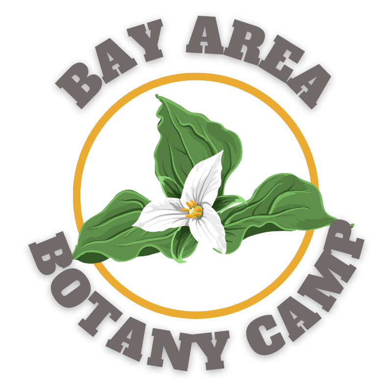 Bay Area Botany Camp