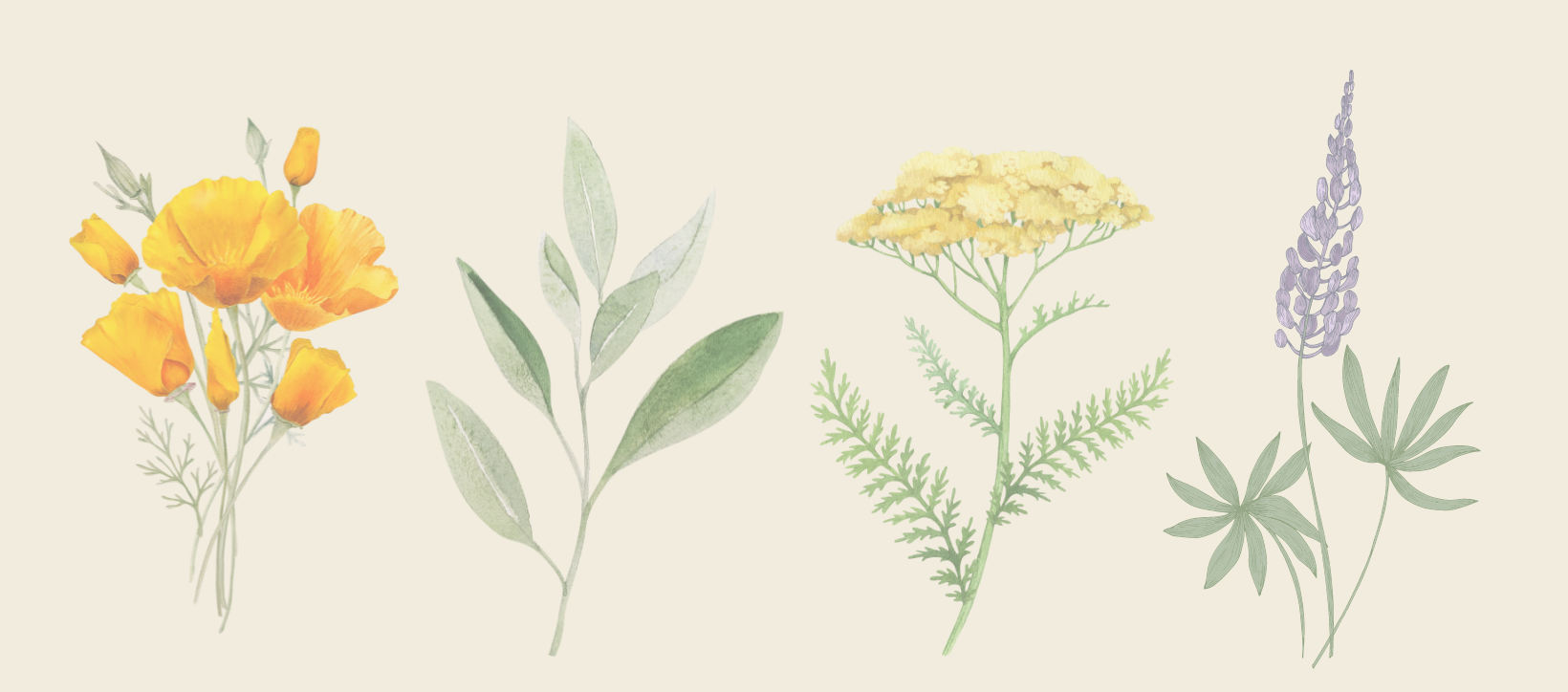 Banner (1640 x 724 px)